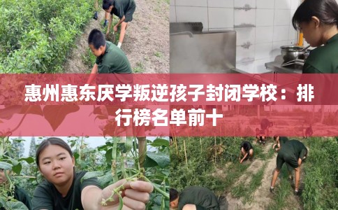 惠州惠东厌学叛逆孩子封闭学校:排行榜名单前十 惠州惠东厌学叛逆孩子封闭学校:排行榜名单前十