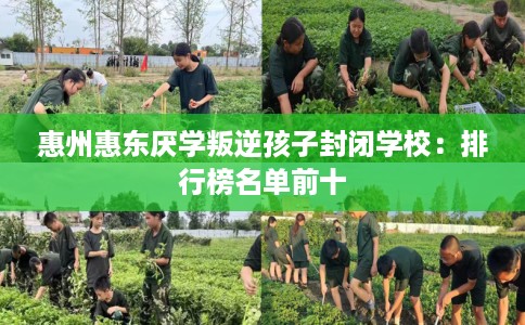 惠州惠东厌学叛逆孩子封闭学校:排行榜名单前十 惠州惠东厌学叛逆孩子封闭学校:排行榜名单前十