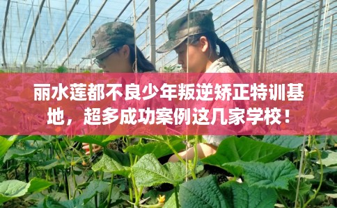 丽水莲都不良少年叛逆矫正特训基地,超多成功案例这几家学校! 丽水莲都不良少年叛逆矫正特训基地,超多成功案例这几家学校!