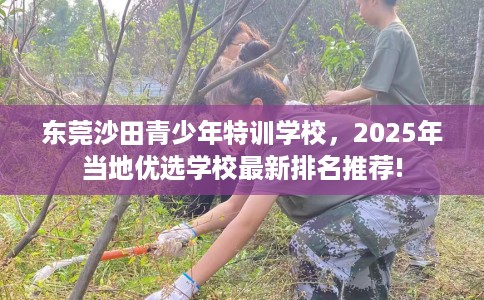 东莞沙田青少年特训学校，2025年当地优选学校最新排名推荐!
