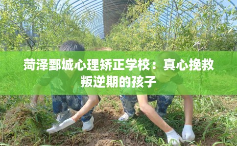 菏泽鄄城心理矫正学校:真心挽救叛逆期的孩子 菏泽鄄城心理矫正学校:真心挽救叛逆期的孩子