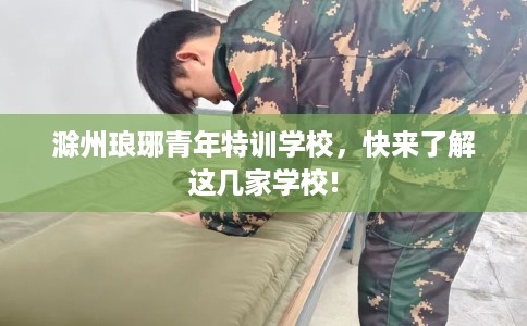 滁州琅琊青年特训学校，快来了解这几家学校!
