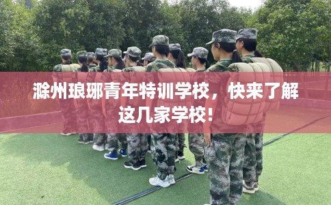 滁州琅琊青年特训学校，快来了解这几家学校!