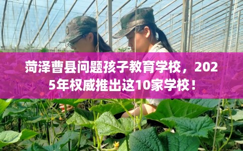 菏泽曹县问题孩子教育学校，2025年权威推出这10家学校！