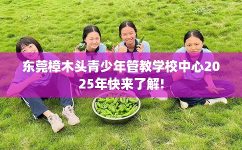 东莞樟木头青少年管教学校中心2025年快来了解!