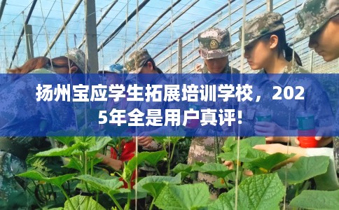 扬州宝应学生拓展培训学校，2025年全是用户真评!