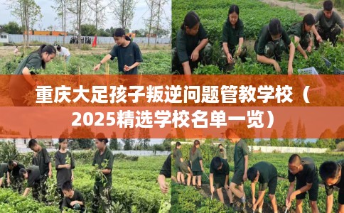 重庆大足孩子叛逆问题管教学校（2025精选学校名单一览）