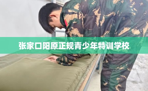 张家口阳原正规青少年特训学校