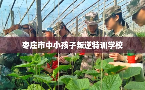 枣庄市中小孩子叛逆特训学校 枣庄市中小孩子叛逆特训学校