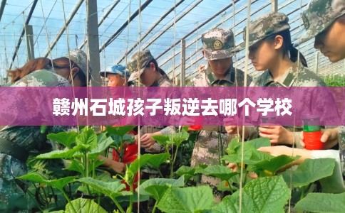 赣州石城孩子叛逆去哪个学校