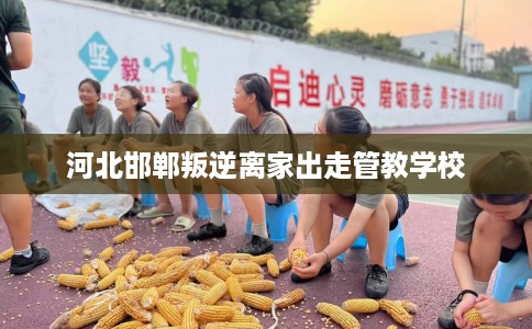 河北邯郸叛逆离家出走管教学校
