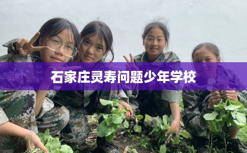 石家庄灵寿问题少年学校
