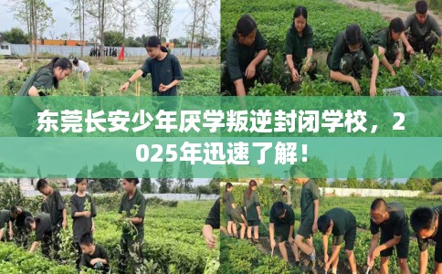 东莞长安少年厌学叛逆封闭学校，2025年迅速了解！