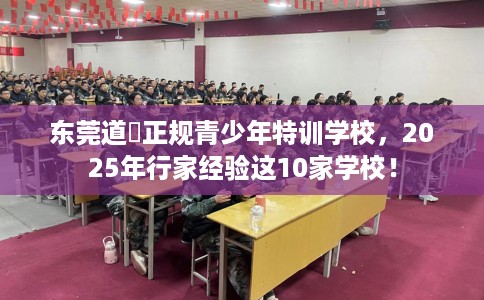 东莞道滘正规青少年特训学校，2025年行家经验这10家学校！