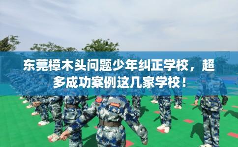 东莞樟木头问题少年纠正学校，超多成功案例这几家学校！