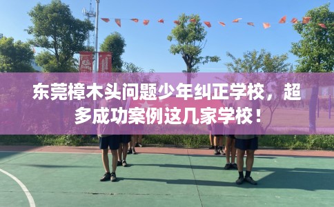 东莞樟木头问题少年纠正学校，超多成功案例这几家学校！