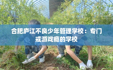合肥庐江不良少年管理学校：专门戒游戏瘾的学校