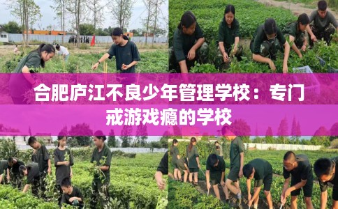 合肥庐江不良少年管理学校：专门戒游戏瘾的学校