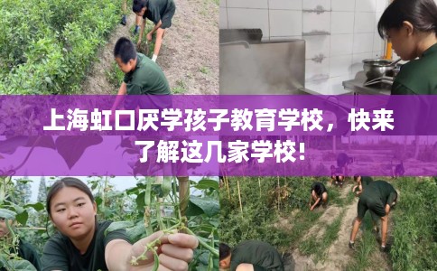 上海虹口厌学孩子教育学校，快来了解这几家学校!