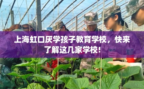 上海虹口厌学孩子教育学校，快来了解这几家学校!