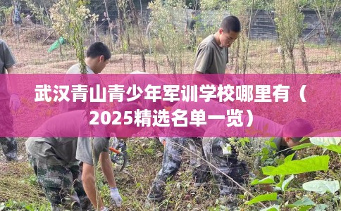 武汉青山青少年军训学校哪里有（2025精选名单一览）