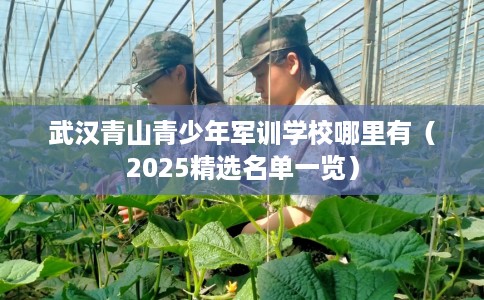 武汉青山青少年军训学校哪里有（2025精选名单一览）