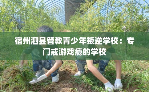 宿州泗县管教青少年叛逆学校：专门戒游戏瘾的学校