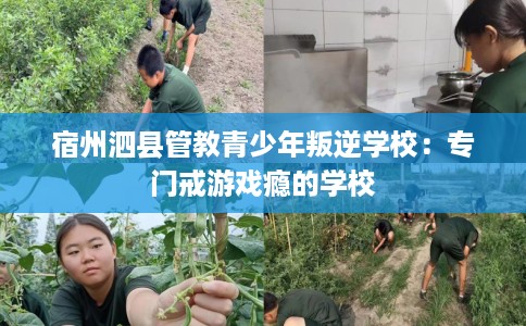 宿州泗县管教青少年叛逆学校：专门戒游戏瘾的学校