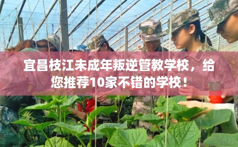 宜昌枝江未成年叛逆管教学校，给您推荐10家不错的学校！