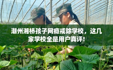 潮州湘桥孩子网瘾戒除学校，这几家学校全是用户真评!