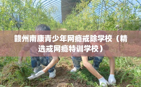 赣州南康青少年网瘾戒除学校（精选戒网瘾特训学校）