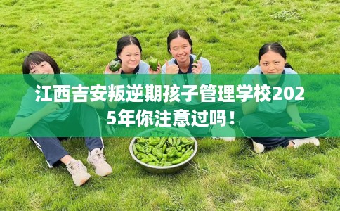 江西吉安叛逆期孩子管理学校2025年你注意过吗！