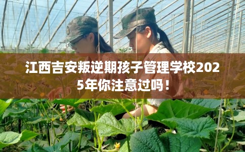 江西吉安叛逆期孩子管理学校2025年你注意过吗！