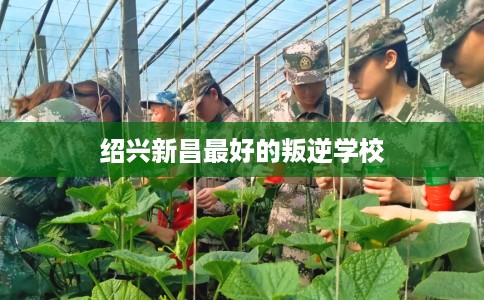 绍兴新昌最好的叛逆学校