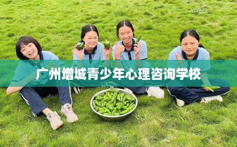 广州增城青少年心理咨询学校