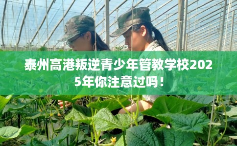 泰州高港叛逆青少年管教学校2025年你注意过吗！