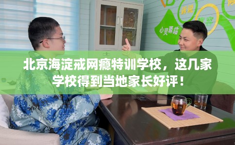 北京海淀戒网瘾特训学校，这几家学校得到当地家长好评！