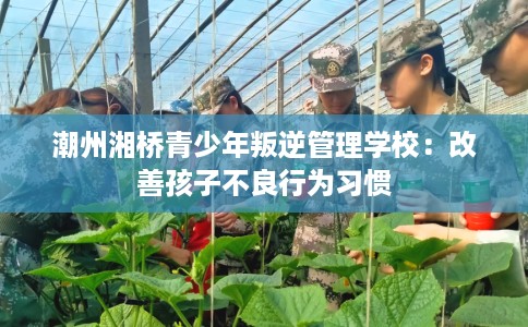 潮州湘桥青少年叛逆管理学校：改善孩子不良行为习惯
