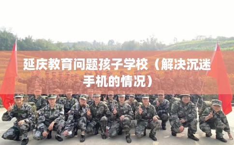 延庆教育问题孩子学校（解决沉迷手机的情况）