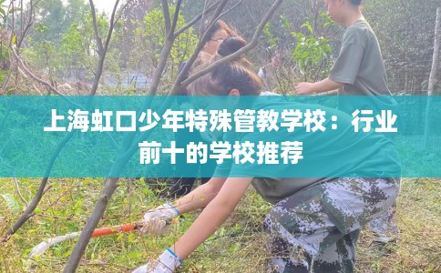 上海虹口少年特殊管教学校：行业前十的学校推荐