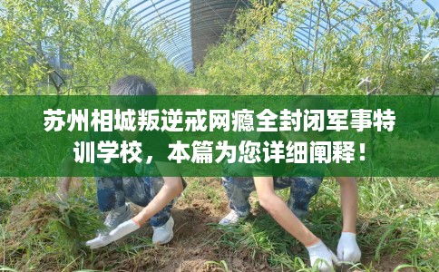 苏州相城叛逆戒网瘾全封闭军事特训学校，本篇为您详细阐释！