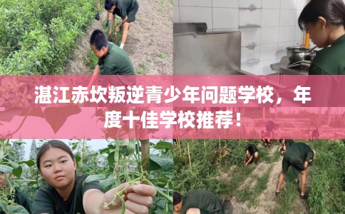 湛江赤坎叛逆青少年问题学校，年度十佳学校推荐！