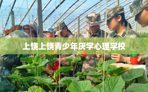 上饶上饶青少年厌学心理学校
