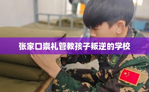 张家口崇礼管教孩子叛逆的学校