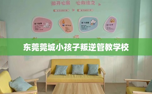 东莞莞城小孩子叛逆管教学校