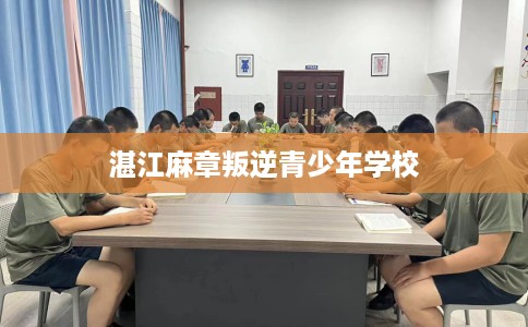 湛江麻章叛逆青少年学校