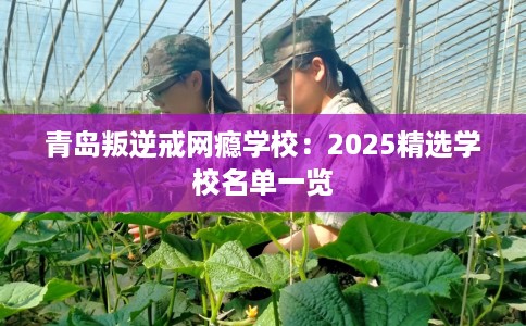 青岛叛逆戒网瘾学校：2025精选学校名单一览