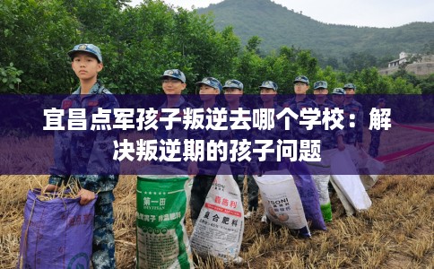 宜昌点军孩子叛逆去哪个学校：解决叛逆期的孩子问题