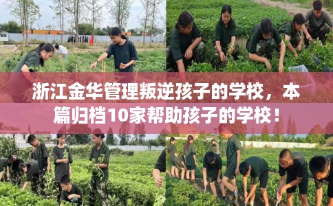 浙江金华管理叛逆孩子的学校，本篇归档10家帮助孩子的学校！