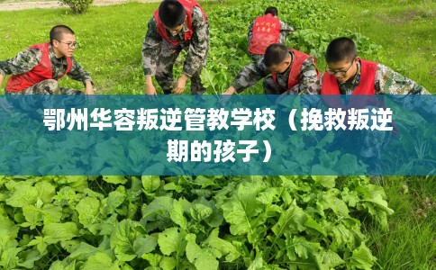 鄂州华容叛逆管教学校(挽救叛逆期的孩子) 鄂州华容叛逆管教学校(挽救叛逆期的孩子)